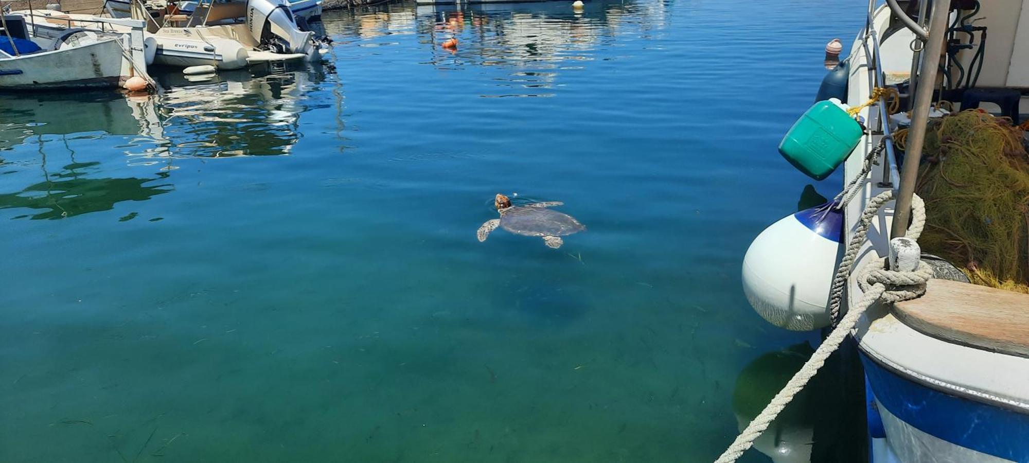 Poseidon Suites Hotel Stavrós Esterno foto